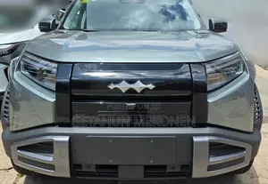 New BYD Leopard 3 2025