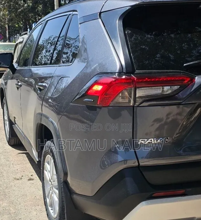 Toyota RAV4 2019 Blue
