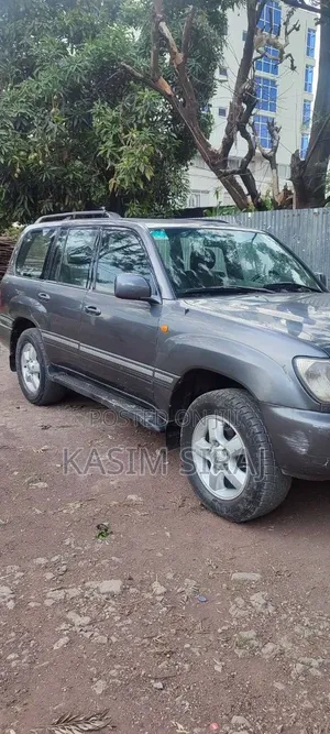 Toyota Land Cruiser 2003 Gray