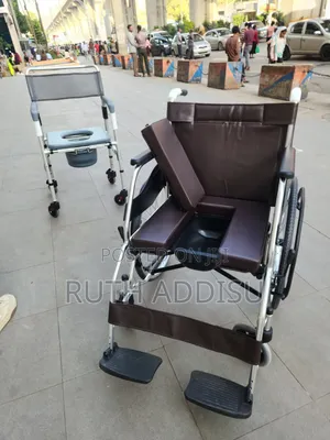 Specialized Commode Seat With a Removable Pot for Convenient Toilet