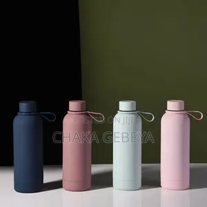 Cadiz 500ml Double Wall Stainless Steel Bottle – Pink Sand