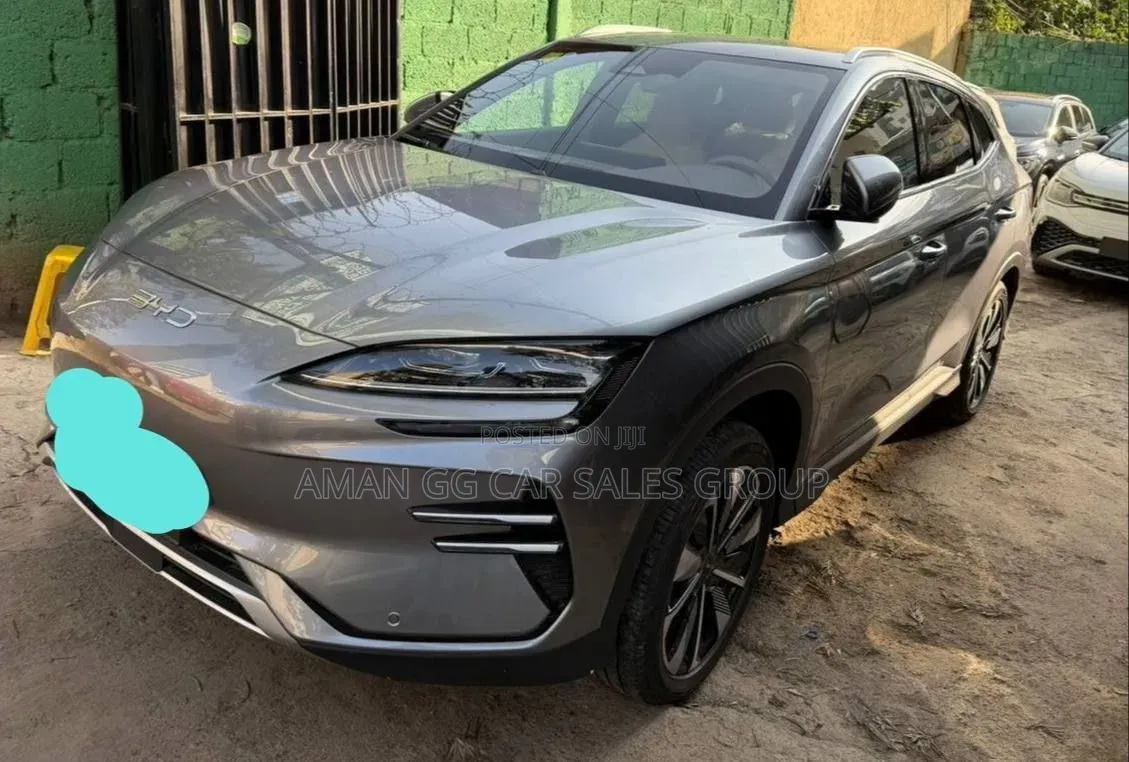 BYD Song Plus 2024 Gray