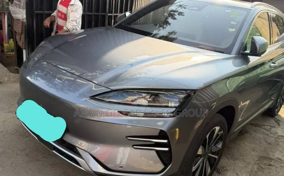 BYD Song Plus 2024 Gray