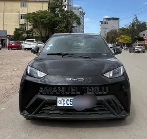 BYD Seagull 2024 Black