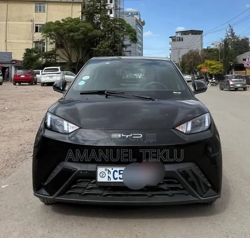 BYD Seagull 2024 Black
