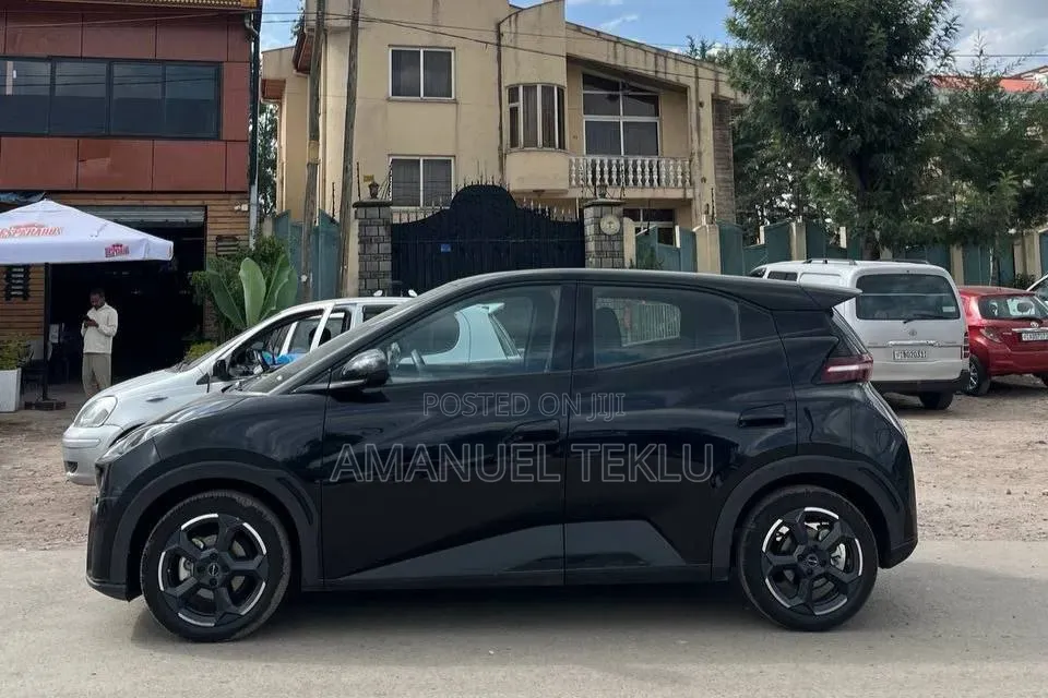 BYD Seagull 2024 Black