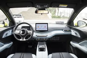 BYD Seagull 2024 Black