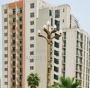 Furnished 20bdrm Apartment in Bole for rent