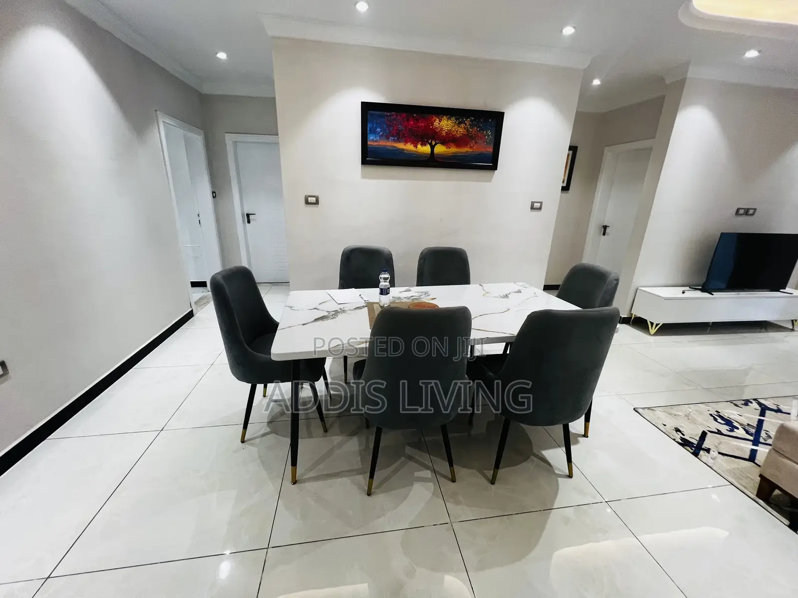 Furnished 20bdrm Apartment in Bole for rent