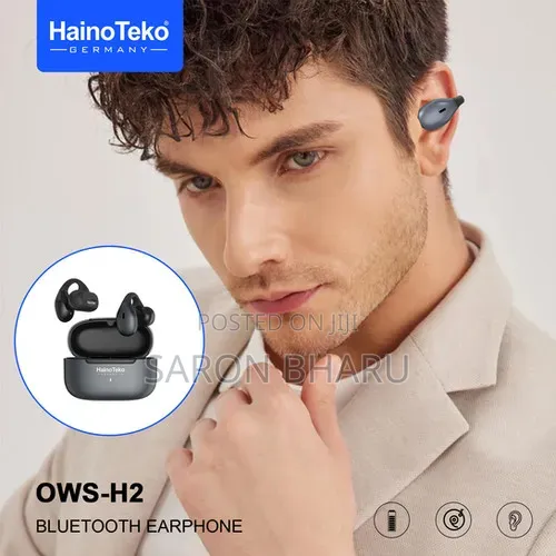 Hainoteko Ows-H2