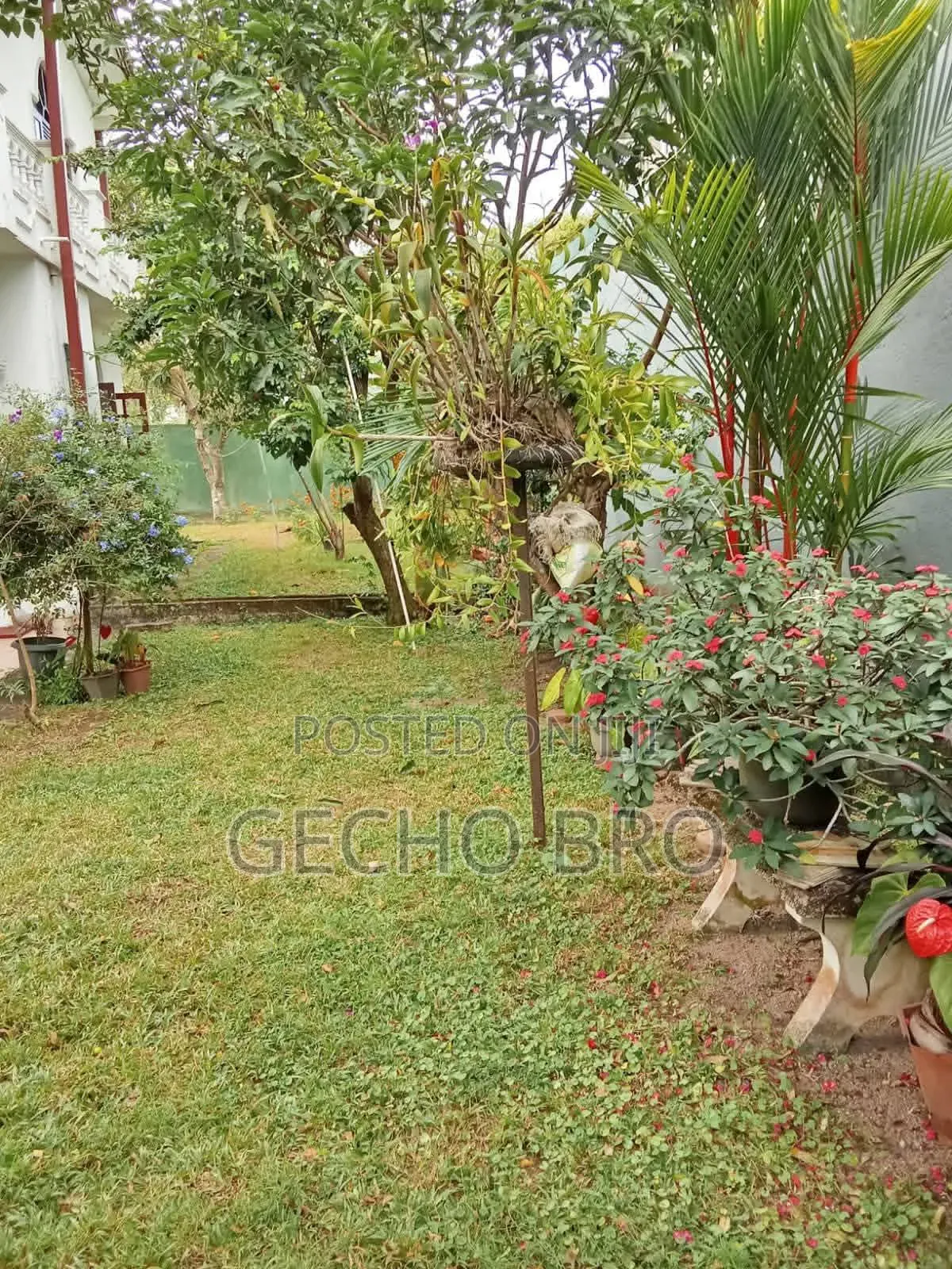 የሚሸጥ ቦታ ቦሌ አካባቢ 550 ካሬ