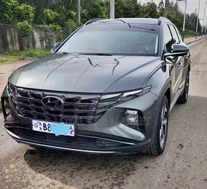 Hyundai Tucson 2021 Gray