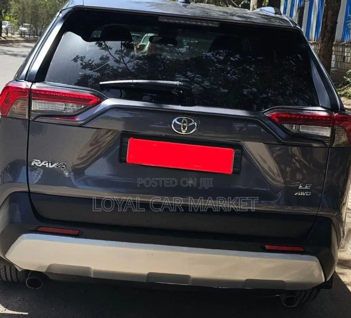 Toyota RAV4 2019 Gray