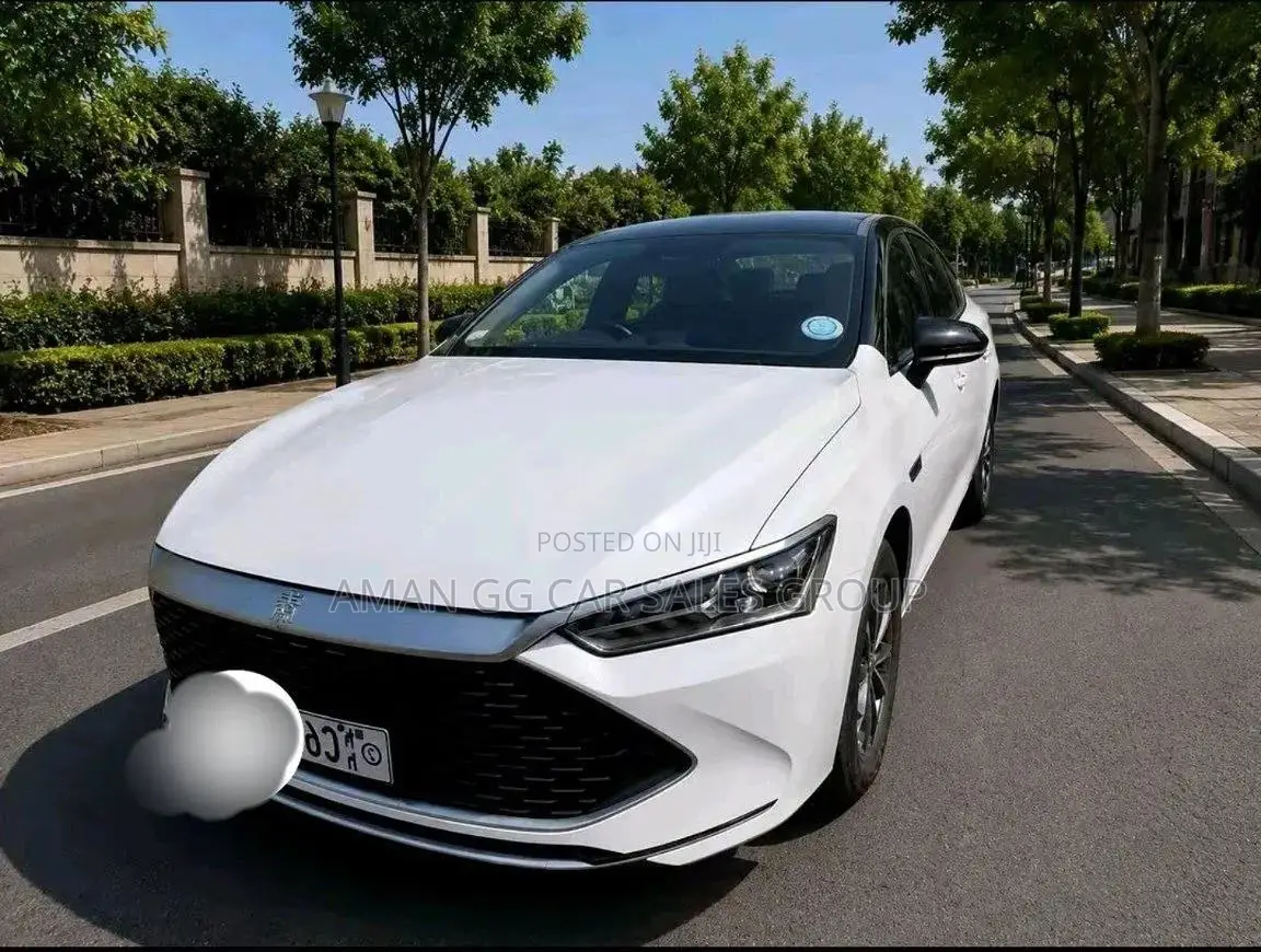 BYD Qin Plus DM-i 2024 White