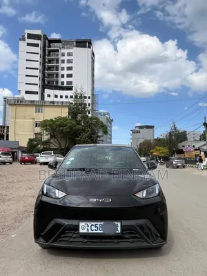 New BYD Seagull 2024 Black