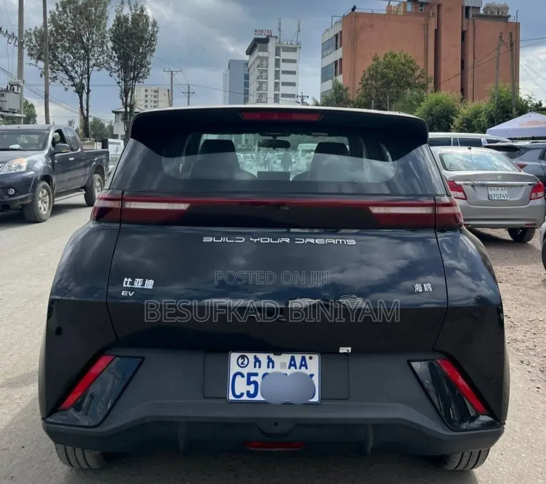 New BYD Seagull 2024 Black