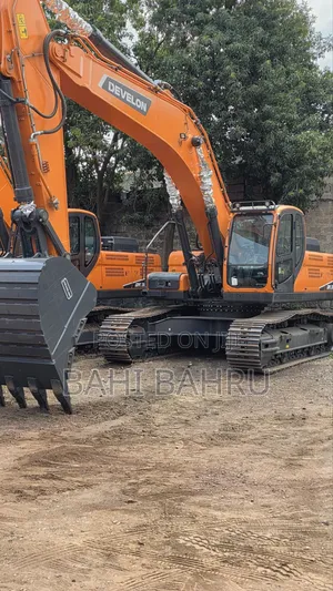 Develon Excavator With Low Price