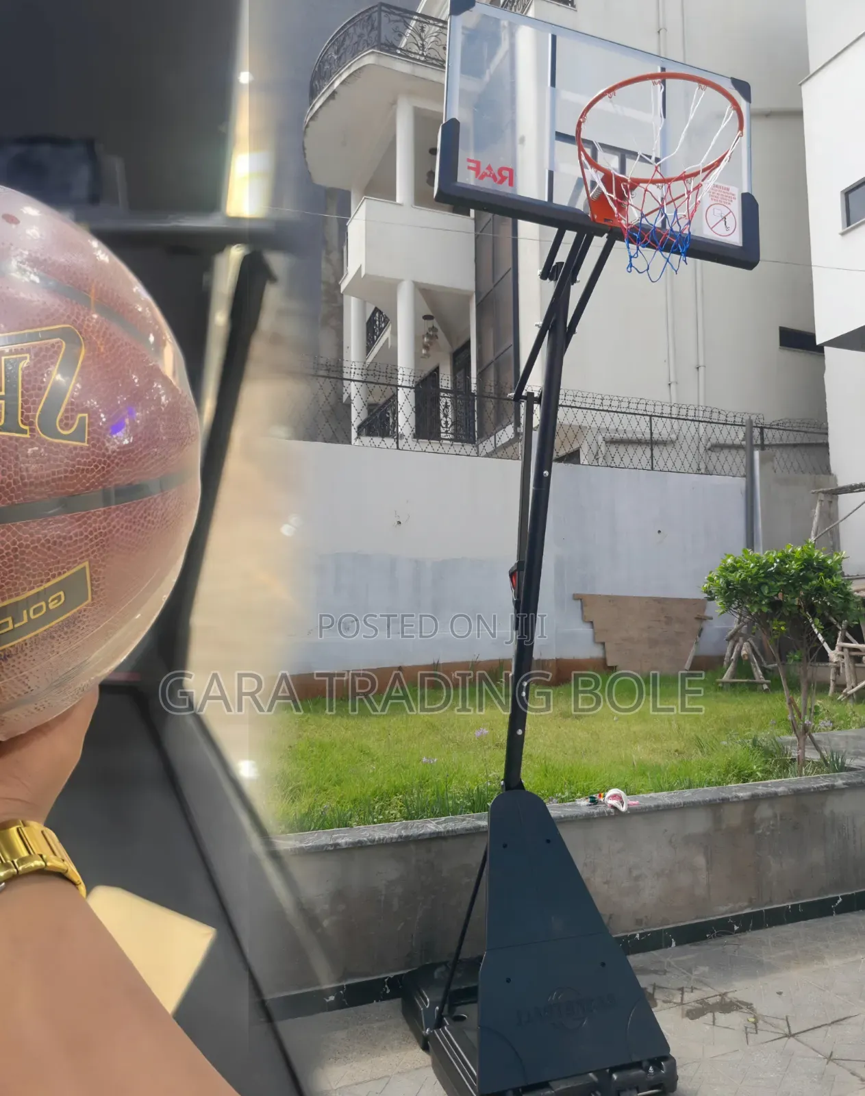 School Basketball