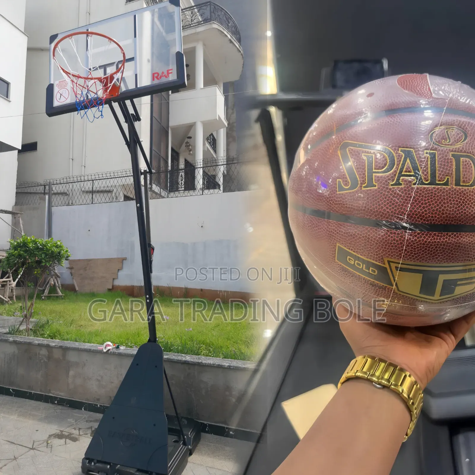 School Basketball Stand