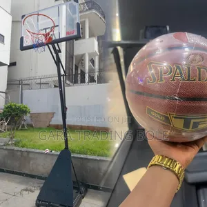 School Basketball Stand