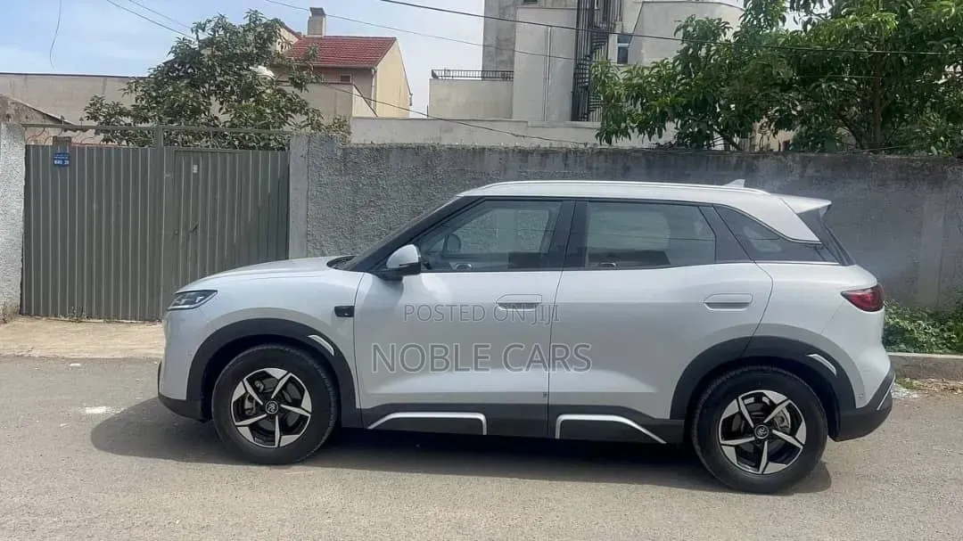 BYD Yuan Up 2024 Off white