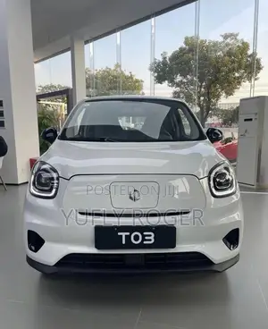 New Leapmotor T03 2025 White