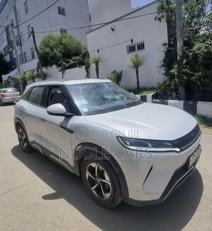 BYD Yuan Up 2024 Off white