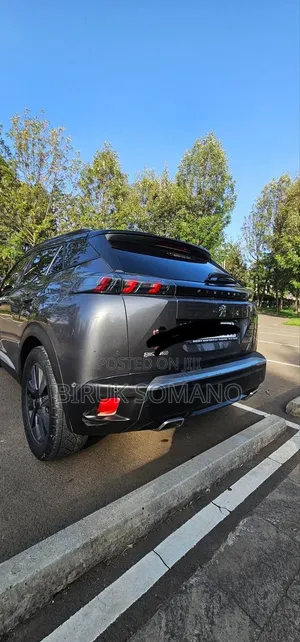 Peugeot 2008 2022 Gray