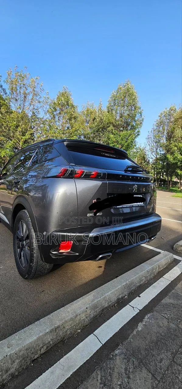 Peugeot 2008 2022 Gray