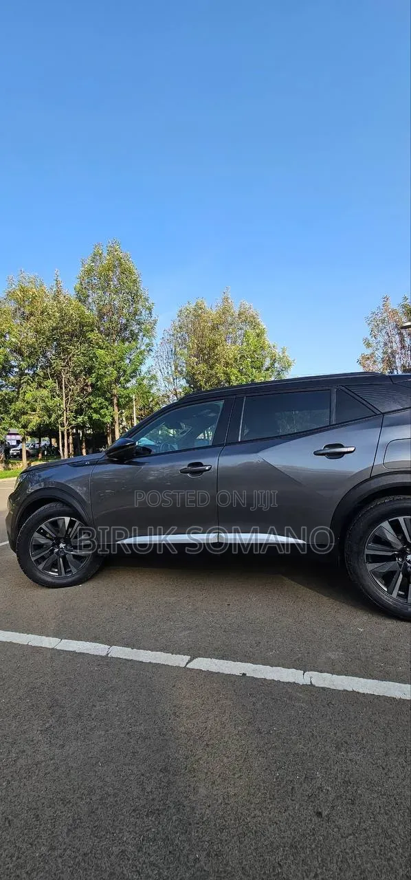 Peugeot 2008 2022 Gray