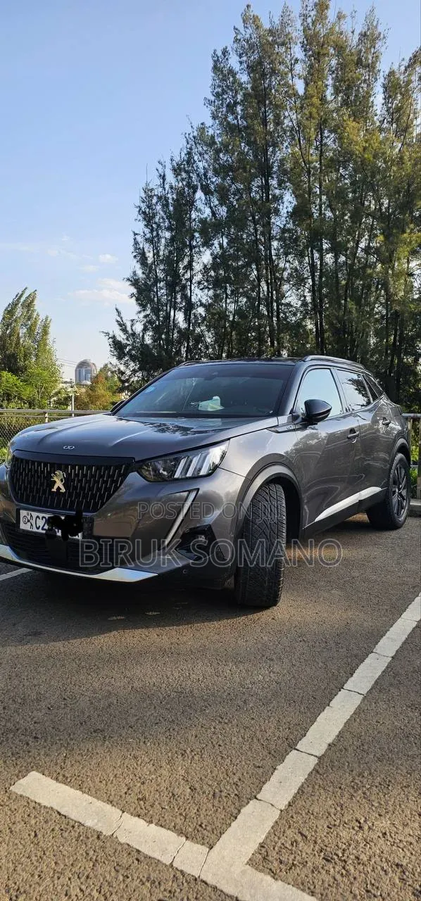 Peugeot 2008 2022 Gray
