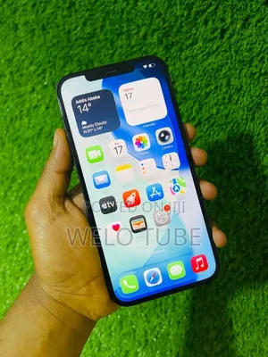Apple iPhone 12 Pro Max 256 GB Blue