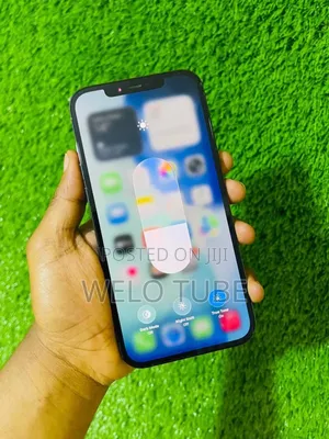 Apple iPhone 12 Pro Max 256 GB Blue