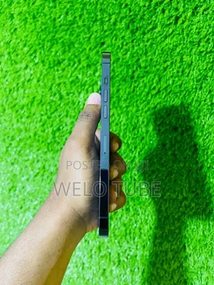 Apple iPhone 12 Pro Max 256 GB Blue
