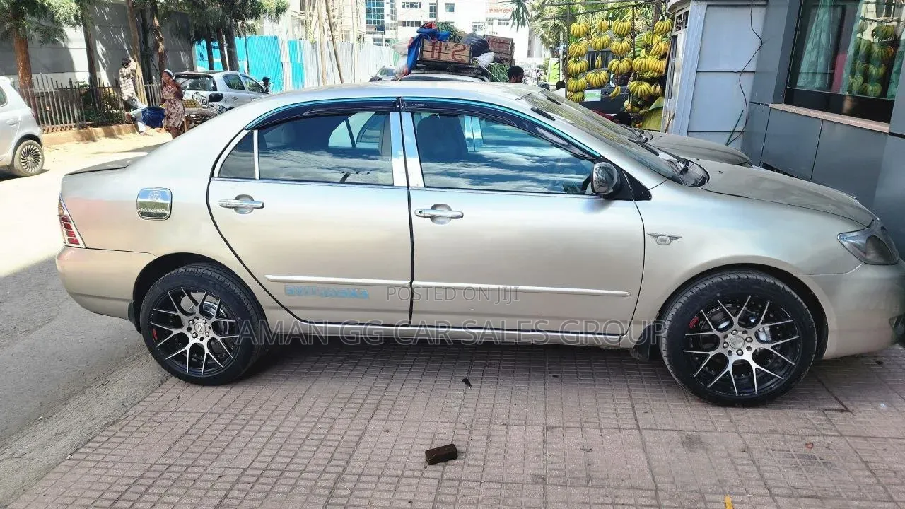 Toyota Corolla 2006 Gray