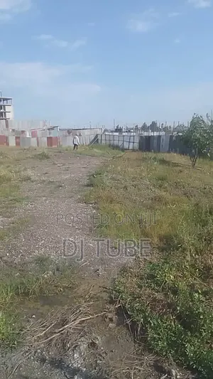 ቦሌ ቡልቡላ 1000 ካሬ