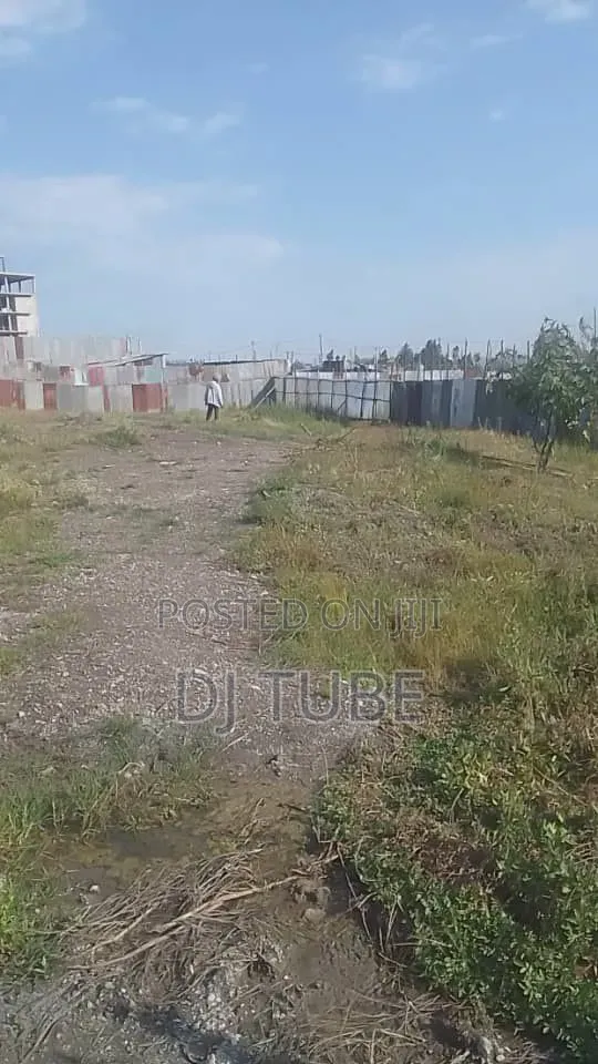 ቦሌ ቡልቡላ 1000 ካሬ