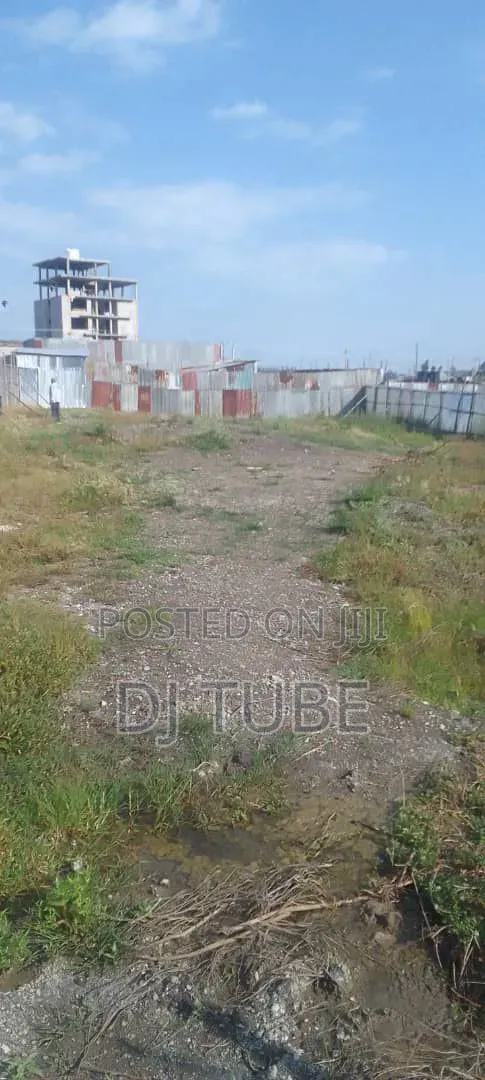 ቦሌ ቡልቡላ 1000 ካሬ