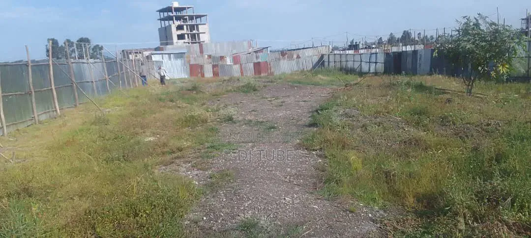 ቦሌ ቡልቡላ 1000 ካሬ