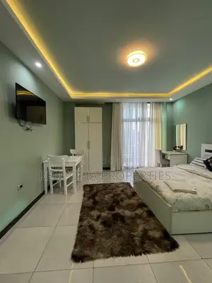 Furnished 1bdrm Apartment in Bole for rent
