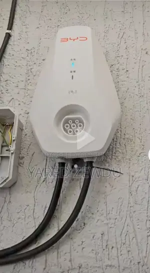 Byd Charger Level 2