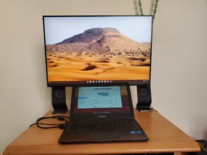 Dell P2423 24" Frameless Monitor (2023 Model)