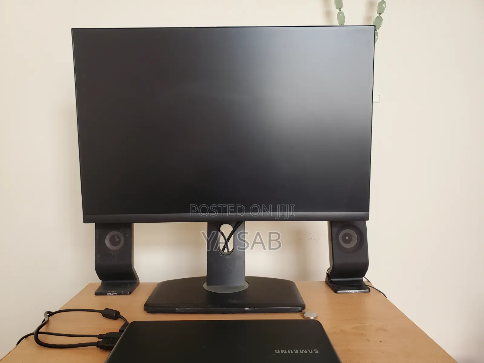 Dell P2423 24" Frameless Monitor (2023 Model)