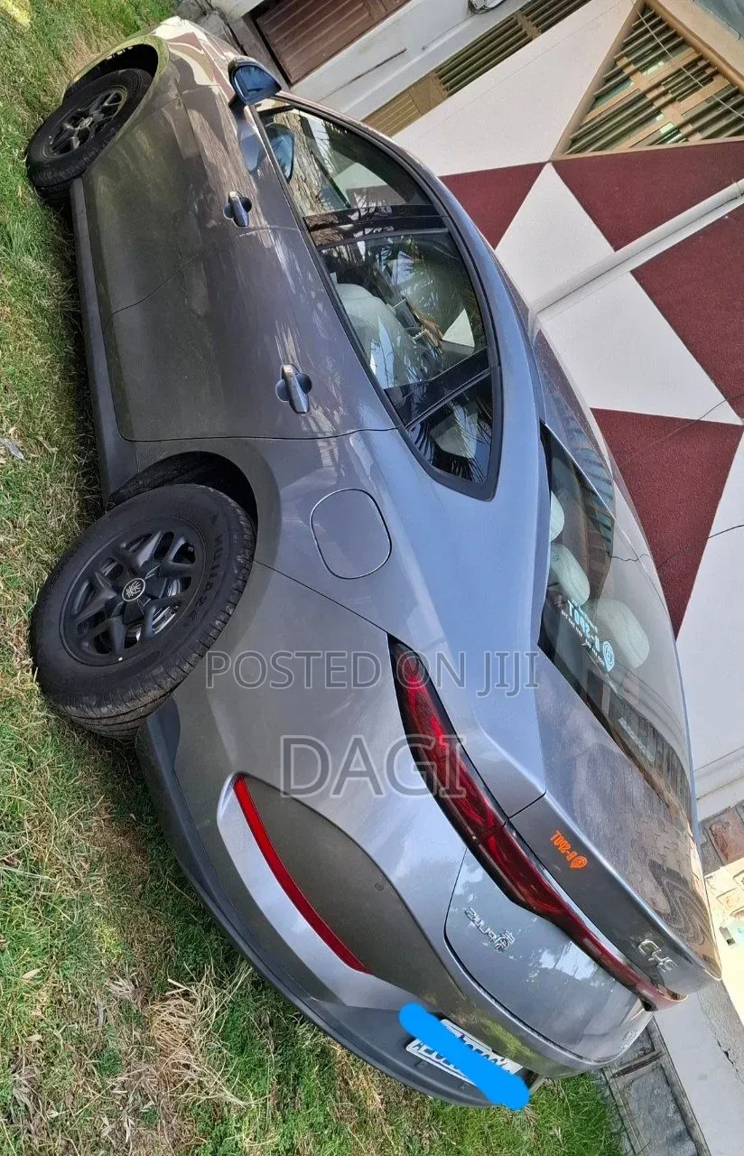 New BYD Qin Plus DM-i 2025 Gray
