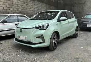 Changan BenBen E-Star 2024