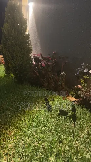 Decorative Metal Art Laser-cut Ant Garden Ornaments