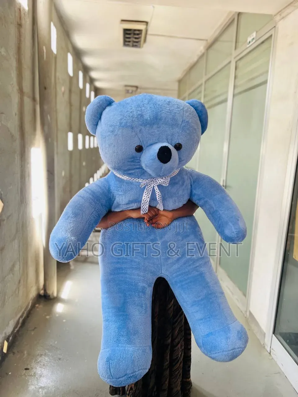 Blue 2xl Teddy Bear