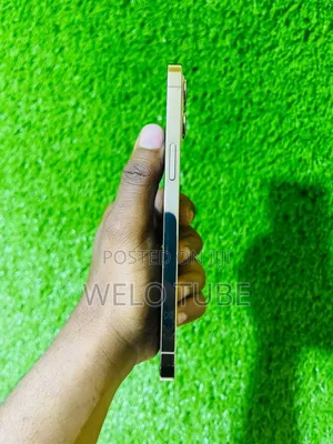 Apple iPhone 12 Pro Max 256 GB Gold