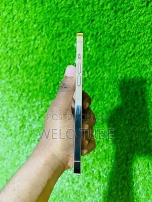 Apple iPhone 12 Pro Max 256 GB Gold