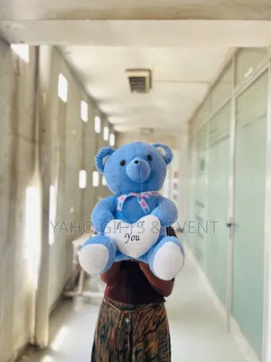 Blue Teddy Love Toy